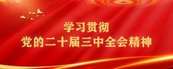 学习贯彻党的二十届三中全会精神