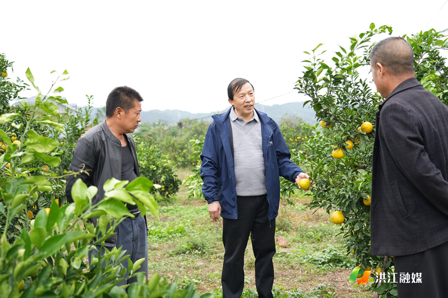 微信图片_20251117145133.jpg 微信图片_20251117145133.jpg