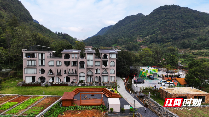 mmexport1763363671985.jpg mmexport1763363671985.jpg