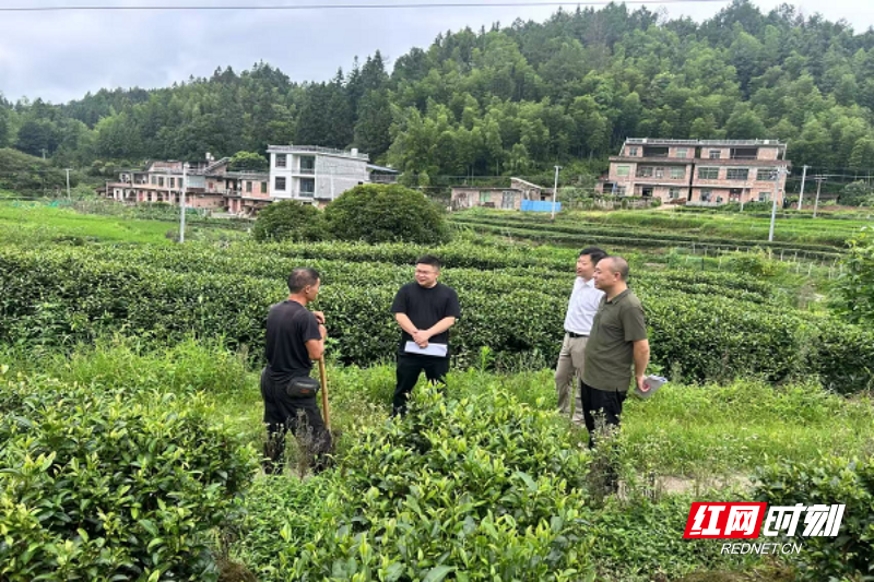 清泉.png 清泉.png