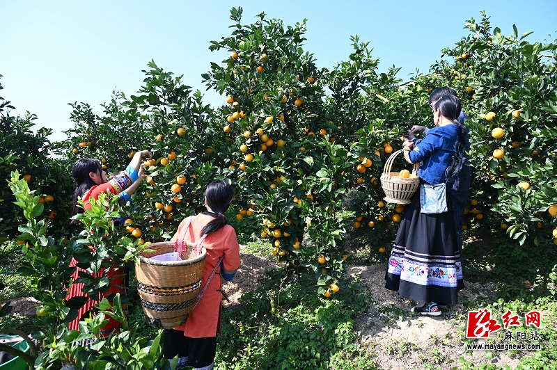 微信图片_20251117155342.jpg 微信图片_20251117155342.jpg