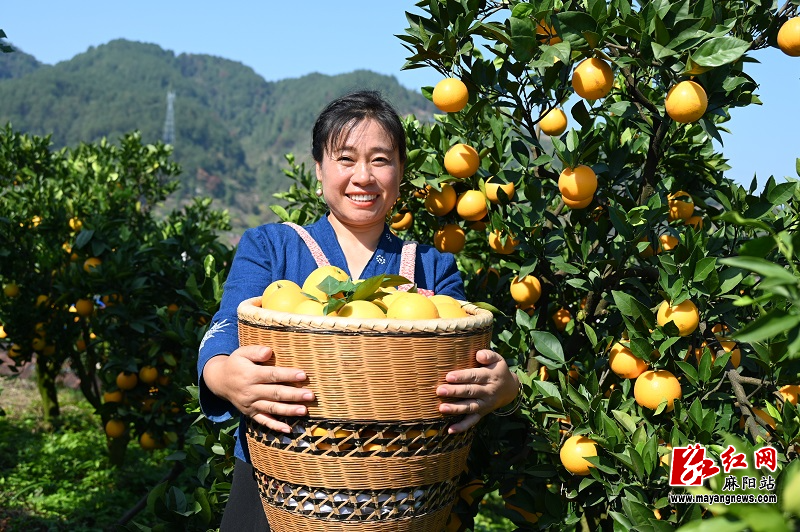 微信图片_20251117155339.jpg 微信图片_20251117155339.jpg