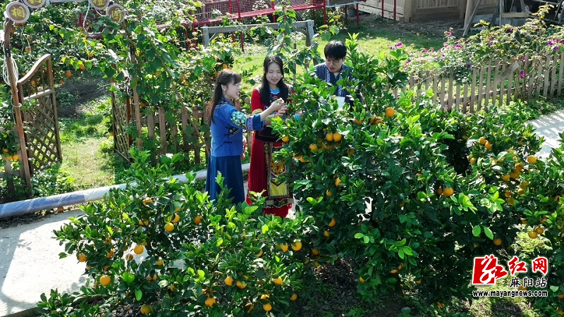 微信图片_20251117155346.jpg 微信图片_20251117155346.jpg