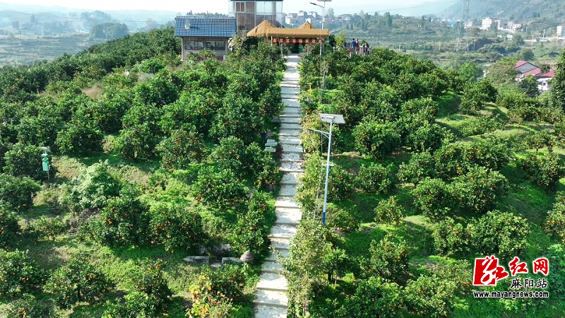 微信图片_20251117155335.jpg 微信图片_20251117155335.jpg