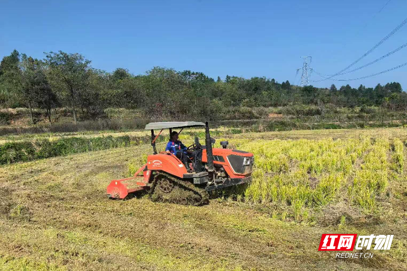 微信图片_20251117110723_63_141.jpg 微信图片_20251117110723_63_141.jpg