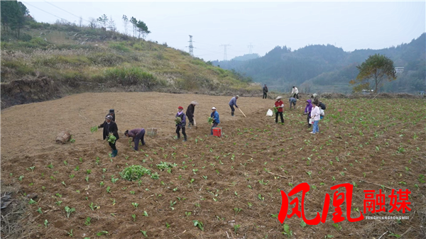 Still1118_00011.png Still1118_00011.png