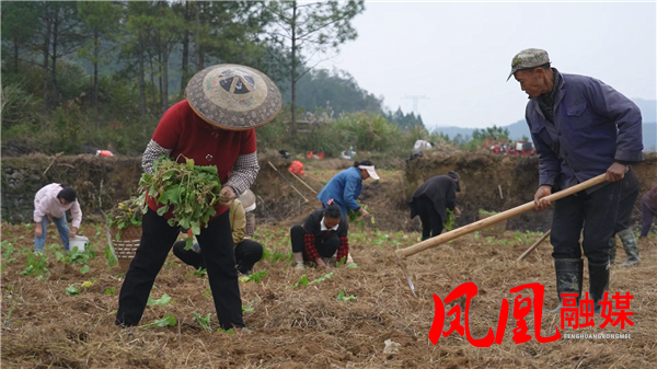 Still1118_00013.png Still1118_00013.png