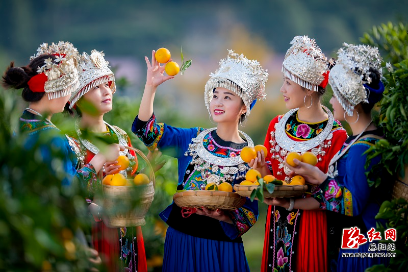 微信图片_20251118111415.jpg 微信图片_20251118111415.jpg