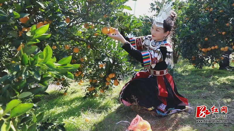 微信图片_20251118111408.png 微信图片_20251118111408.png