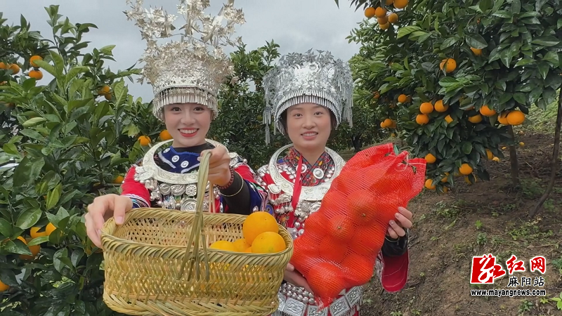 微信图片_20251118111412.png 微信图片_20251118111412.png