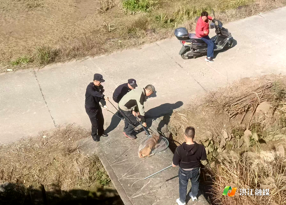 大崇乡.png 大崇乡.png