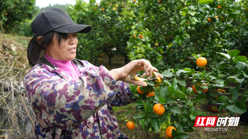 ea4a056b61892fad0d0366aacd4c1af.jpg ea4a056b61892fad0d0366aacd4c1af.jpg