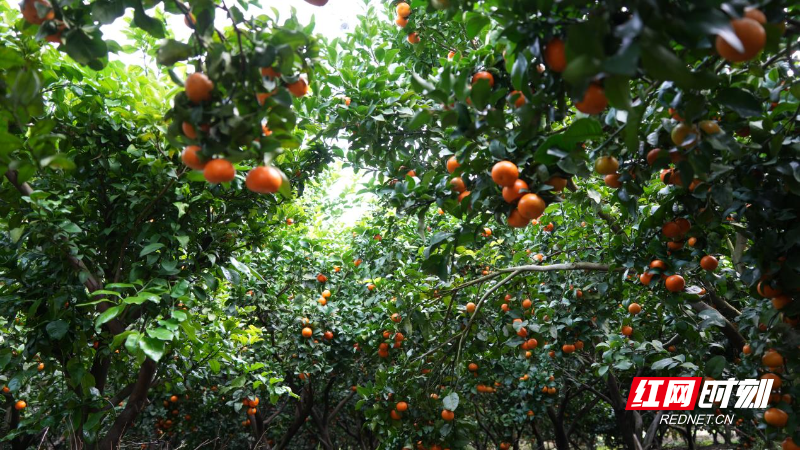 d317b4b02e17f320ce779c1b49c246c.jpg d317b4b02e17f320ce779c1b49c246c.jpg