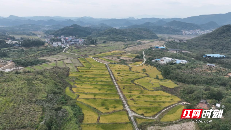 d395c78f258676ce91a1d26bc7a69bb.jpg d395c78f258676ce91a1d26bc7a69bb.jpg