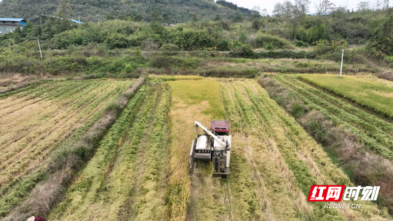 f623b449b5a8d9de04c62da9a0fb207.jpg f623b449b5a8d9de04c62da9a0fb207.jpg