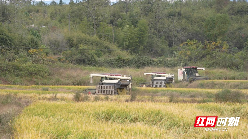 97a893c8871b6274deb2e05b23086d3.jpg 97a893c8871b6274deb2e05b23086d3.jpg