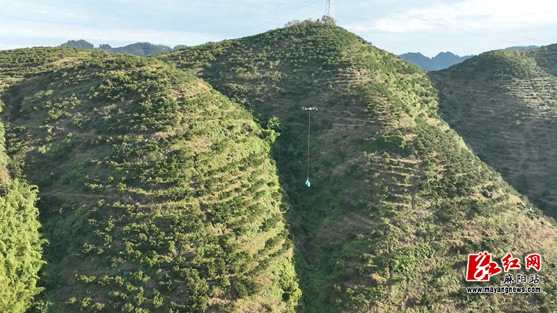 微信图片_20251120155223.png 微信图片_20251120155223.png