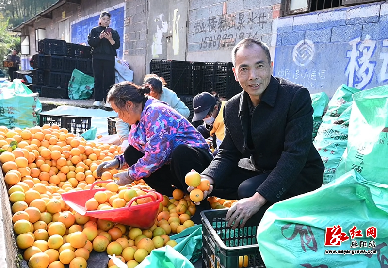 微信图片_20251120155220.png 微信图片_20251120155220.png