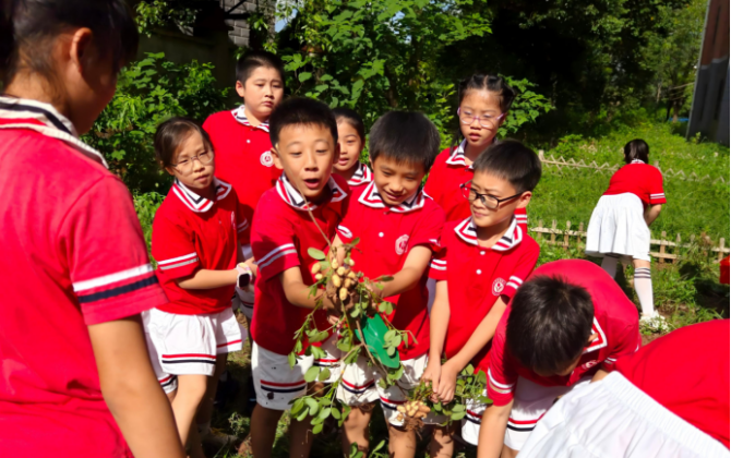 节气润童心，劳动育新人