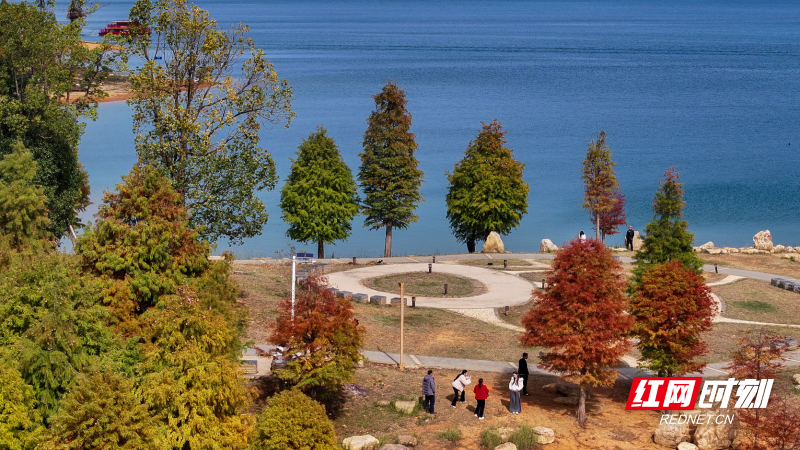 DJI_20251120130430_0004_D 1.jpg