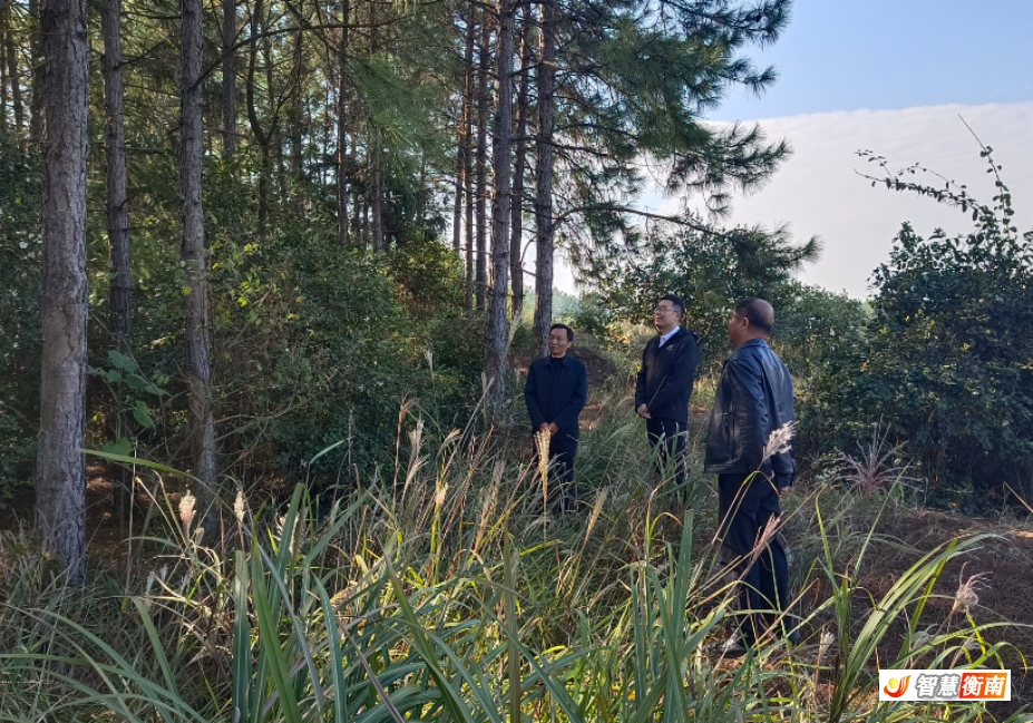 ScreenShot_2025-11-21_103009_642.png ScreenShot_2025-11-21_103009_642.png