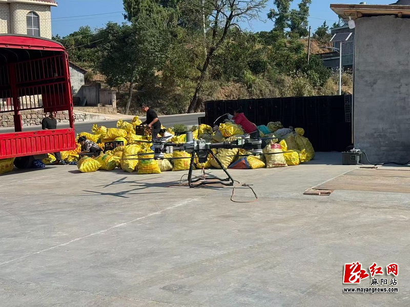 pic(31).jpg pic(31).jpg