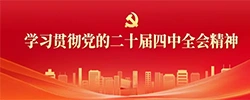 学习贯彻党的二十届四中全会精神