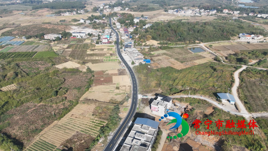 X206 (1).png X206 (1).png