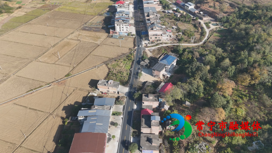 X206 (3).png X206 (3).png