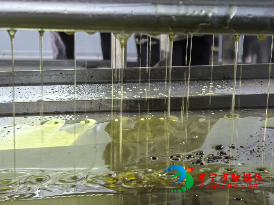 微信图片_20251126173002_1298_4(1).jpg 微信图片_20251126173002_1298_4(1).jpg