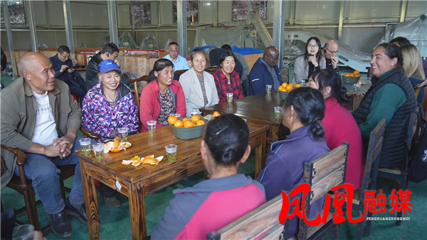 Still1127_00014.png Still1127_00014.png