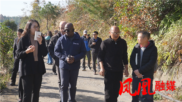 Still1127_00020.png Still1127_00020.png