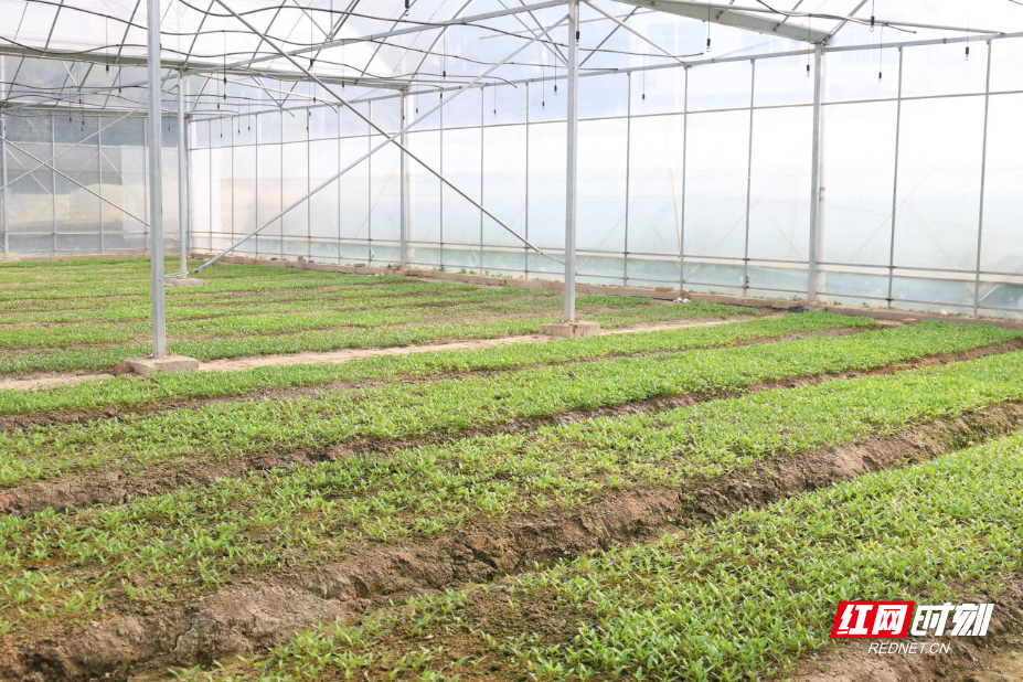 图片4.jpg 图片4.jpg