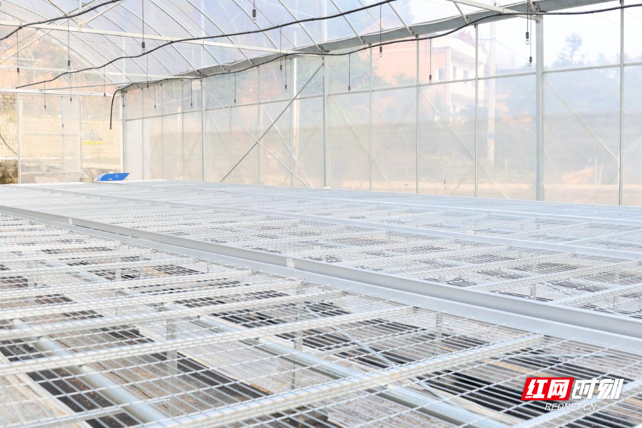 图片3.jpg 图片3.jpg