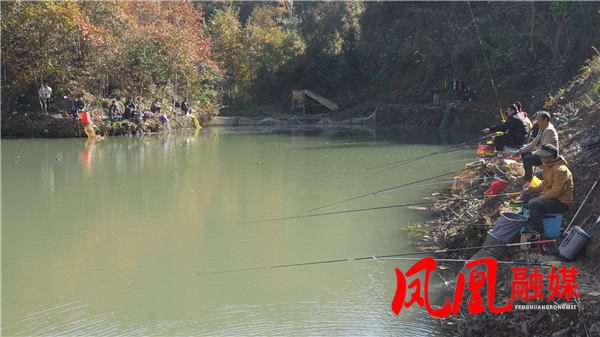 Still1129_00012.png Still1129_00012.png