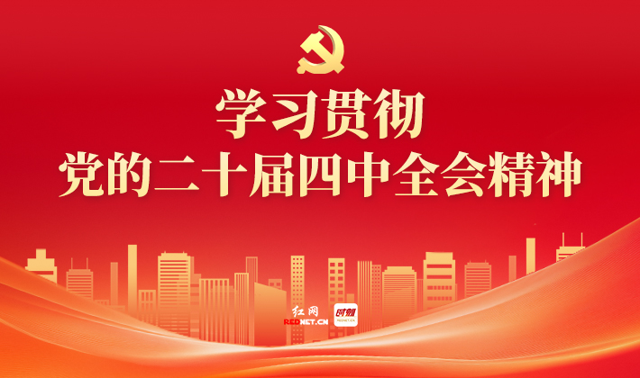 学习贯彻党的二十届四中全会精神