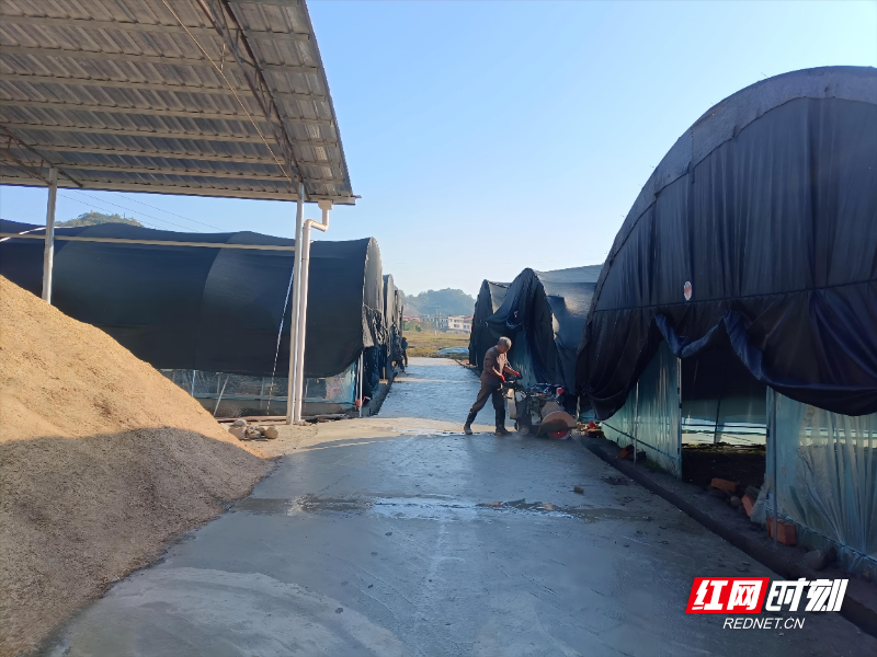 食用菌基地种植大棚基座加固及配套路面硬化(1).jpg 食用菌基地种植大棚基座加固及配套路面硬化(1).jpg