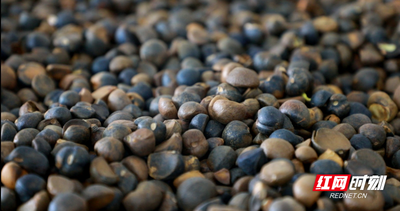 微信图片_2025-12-03_114122_369.jpg 微信图片_2025-12-03_114122_369.jpg