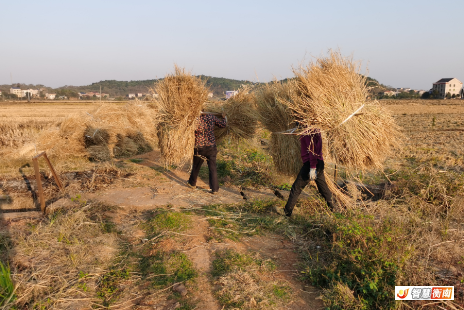 ScreenShot_2025-12-03_154913_887.png ScreenShot_2025-12-03_154913_887.png