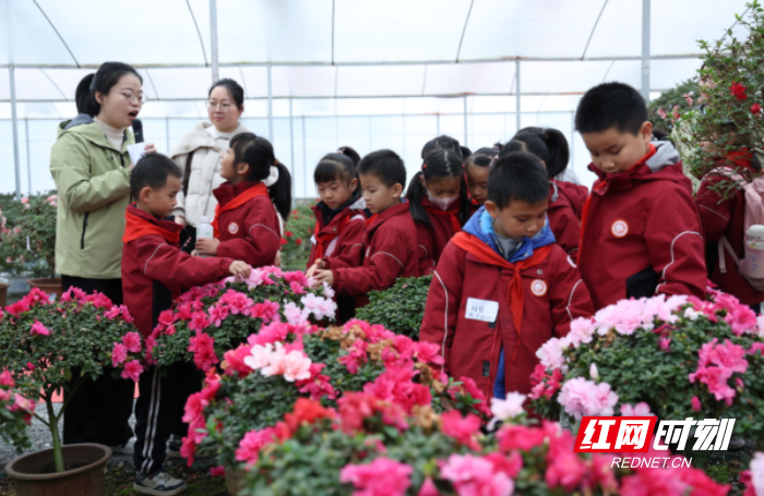 微信图片_20251204081723.png 微信图片_20251204081723.png