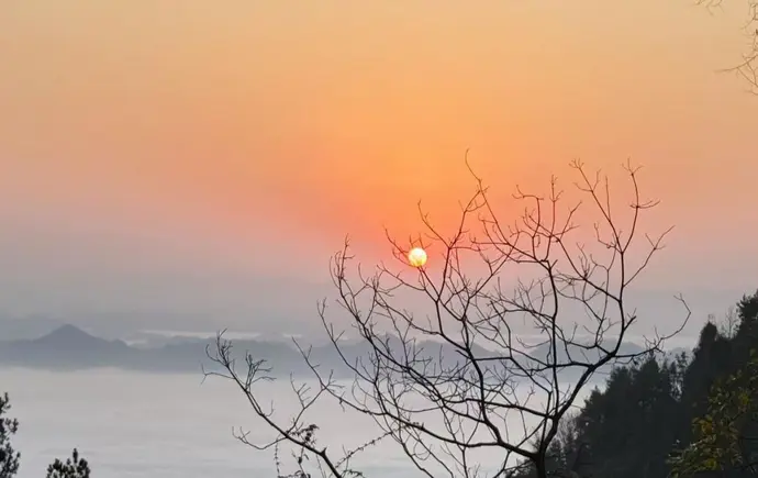 云海映照振兴路——保靖县天塘坡片区以生态“绿”绘就乡村振兴“红”