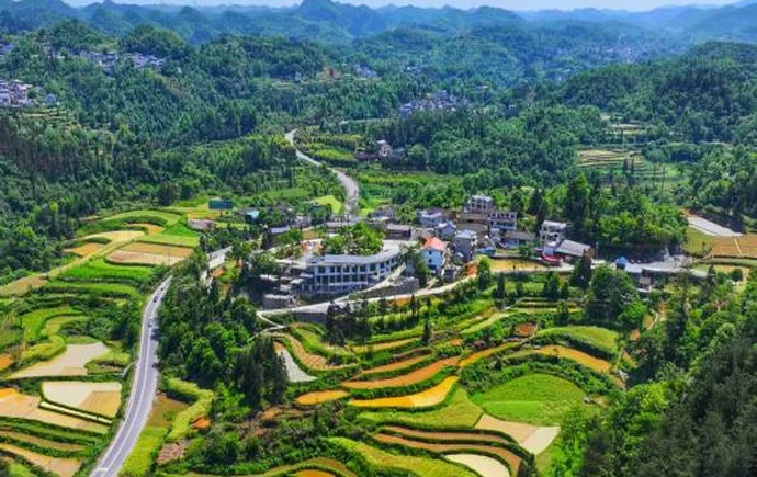 深耕特色兴产业 融合发展绘新篇——凤凰县吉信镇2025年产业发展综述