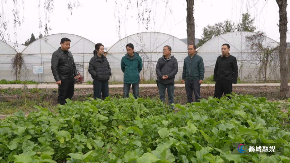 省农科院专家深入鹤城 精准赋能农业产业发展(半成品).mp4_000023.976.png 省农科院专家深入鹤城 精准赋能农业产业发展(半成品).mp4_000023.976.png