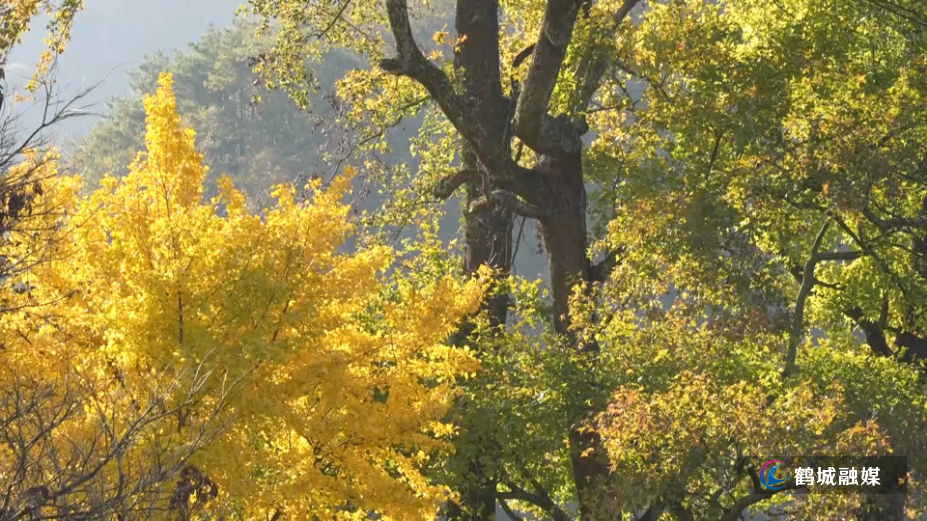 黄岩龙岩江：深山藏秘境 桃源入画来（半成品）.mp4_000033.601.png