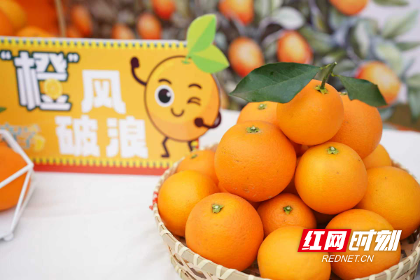 ef39b4944f27a4dd8a460ee805e5890e.jpg ef39b4944f27a4dd8a460ee805e5890e.jpg