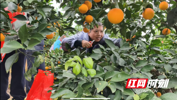 04c7e480a4b50916deddb747db76495c.jpg 04c7e480a4b50916deddb747db76495c.jpg