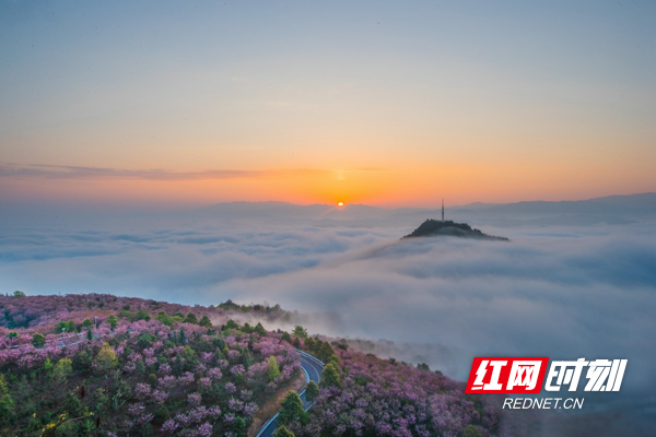 微信图片_20251206110220.jpg 微信图片_20251206110220.jpg