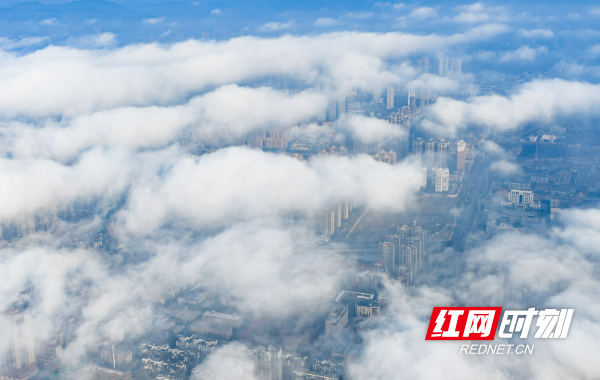 DJI_20251206091053_0087_D.jpg DJI_20251206091053_0087_D.jpg