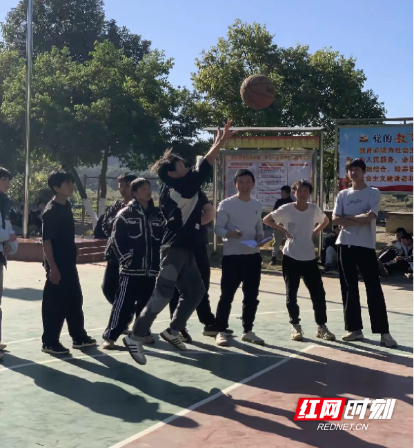 图片8.png 图片8.png