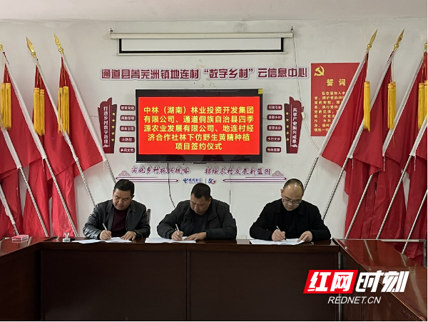 图片3.jpg 图片3.jpg